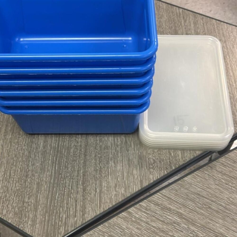 Storex Blue Storage Bins with Lids
